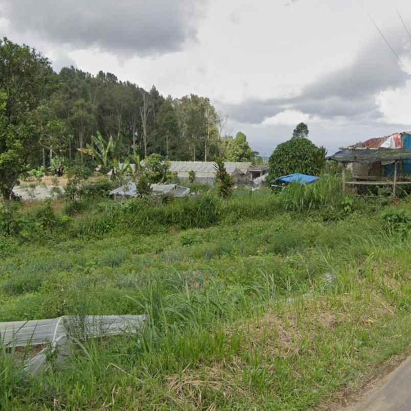 dijual tanah bedugul