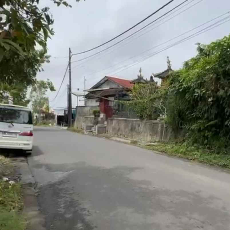 dijual tanah bedugul