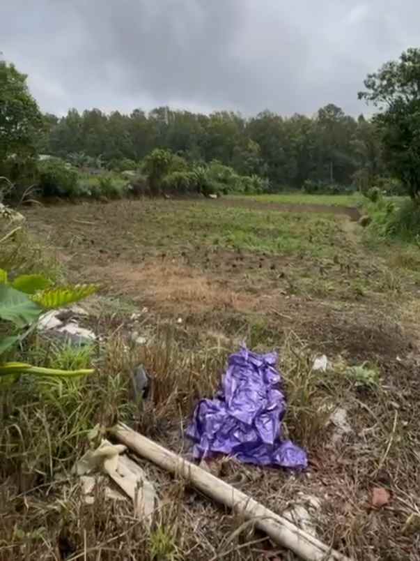 dijual tanah bedugul