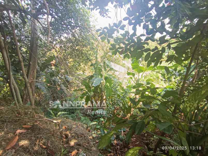 dijual tanah ciganjur