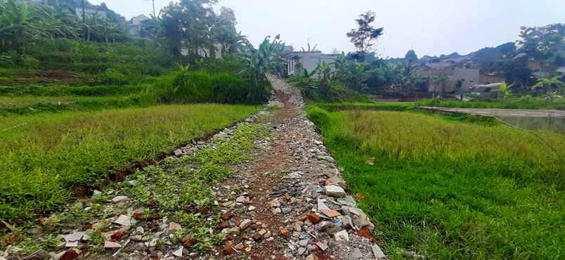 dijual tanah cijambe
