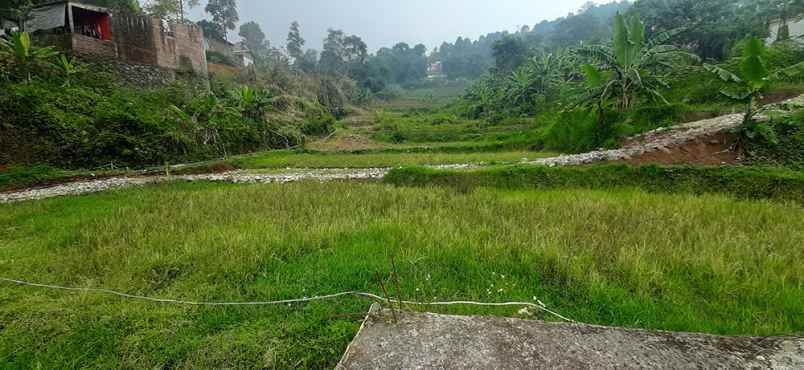 dijual tanah cijambe