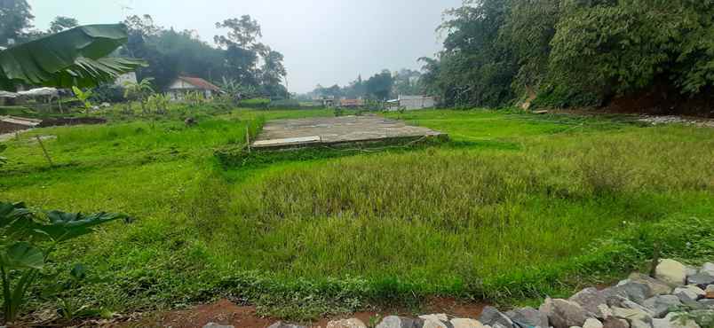 dijual tanah cijambe