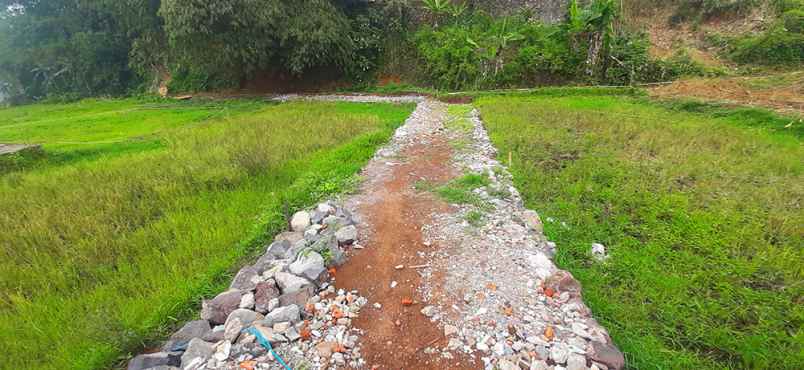 dijual tanah cijambe