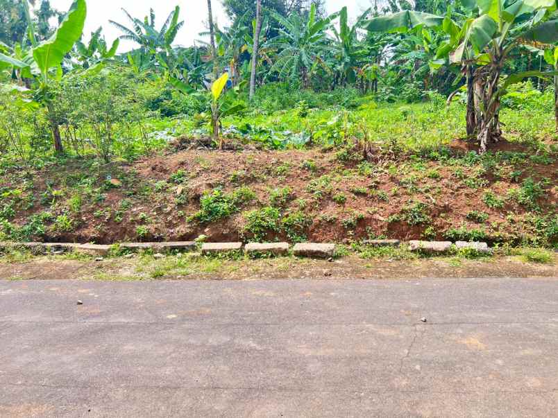 dijual tanah datar 1300m kerjo karanganyar utara