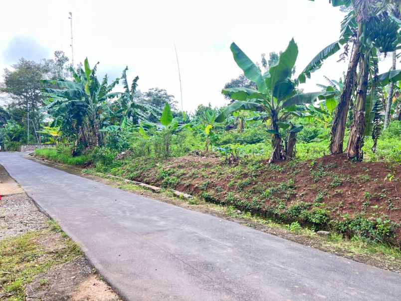 dijual tanah datar 1300m kerjo karanganyar utara