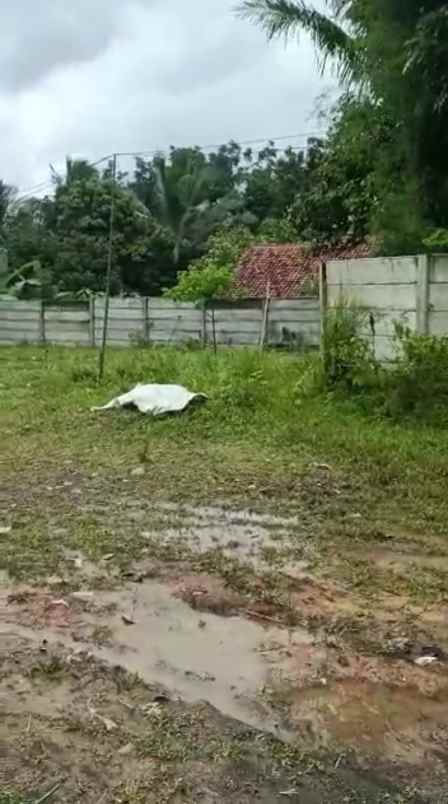 dijual tanah datar desa sukasari rumpin