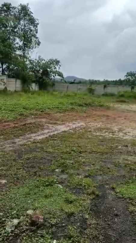 dijual tanah datar desa sukasari rumpin