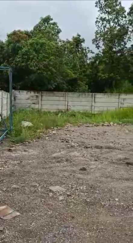 dijual tanah datar desa sukasari rumpin