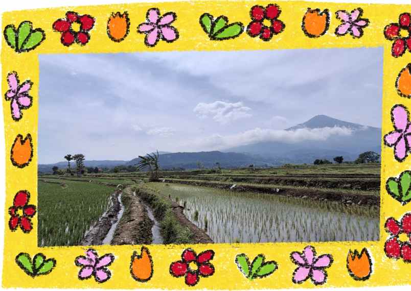 dijual tanah desa candiwatu kec pacet