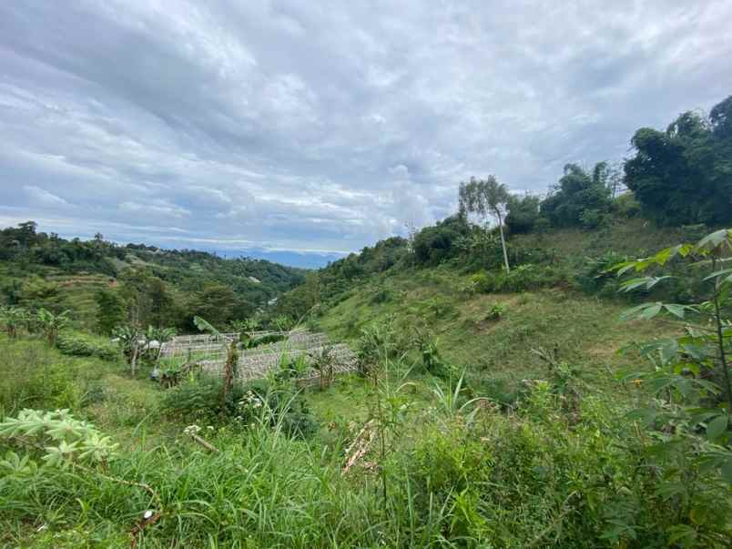 dijual tanah desa pasirlangu kecamatan