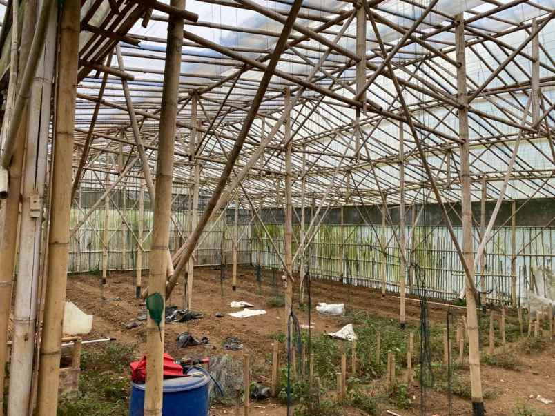 dijual tanah desa pasirlangu kecamatan