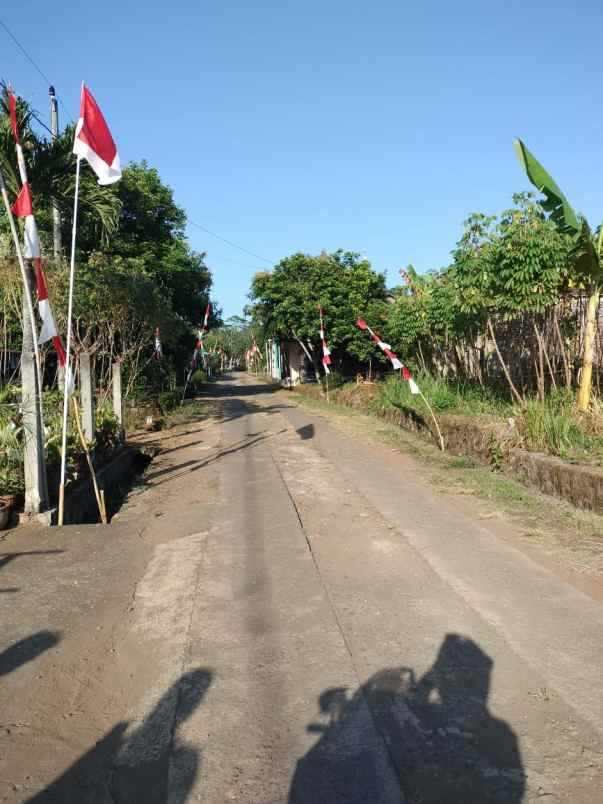 dijual tanah di segrumung metheseh boja kan kendal