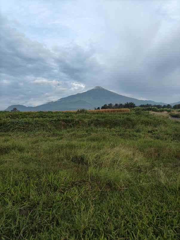dijual tanah dijual tanah di dusun