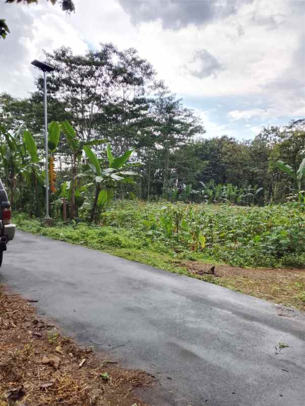 dijual tanah dijual tanah di jumantono