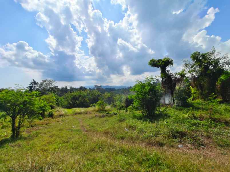 dijual tanah ds antap kec selemadeg kab
