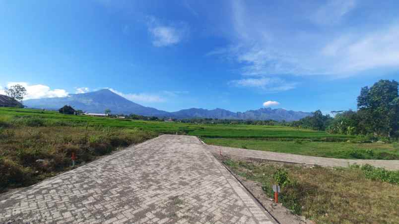 dijual tanah dsn watutumang ds