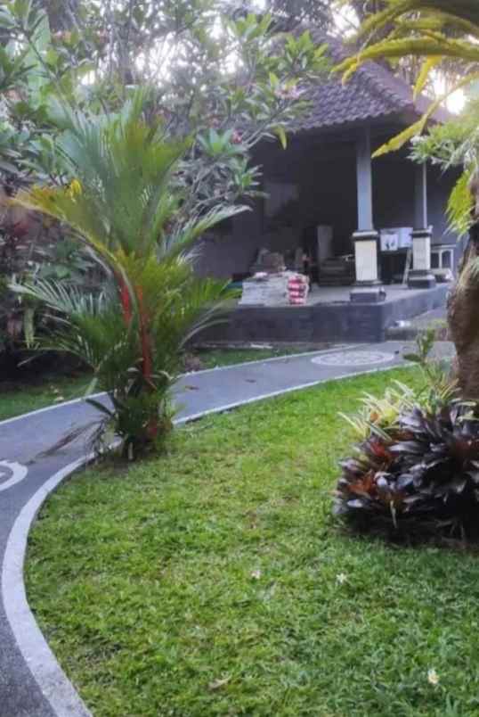 dijual tanah gang kecak mengwi