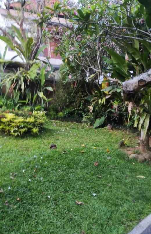 dijual tanah gang kecak mengwi