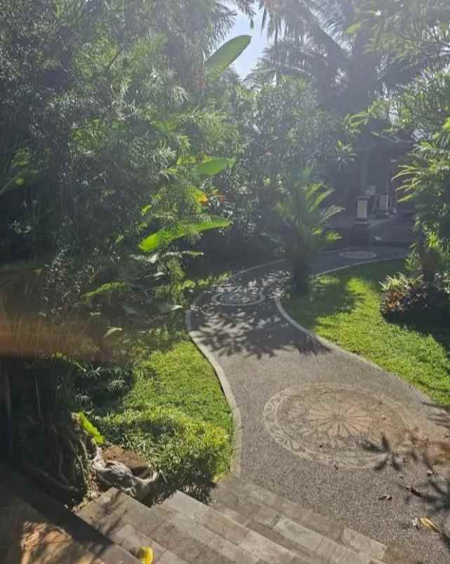 dijual tanah gang kecak mengwi