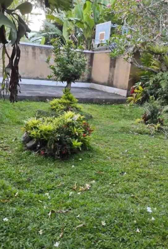 dijual tanah gang kecak mengwi