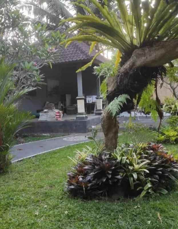 dijual tanah gang kecak mengwi