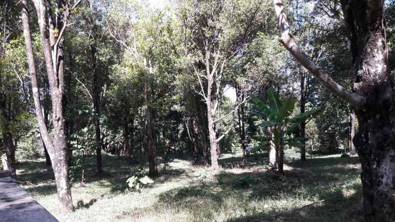 dijual tanah jalan linggasana