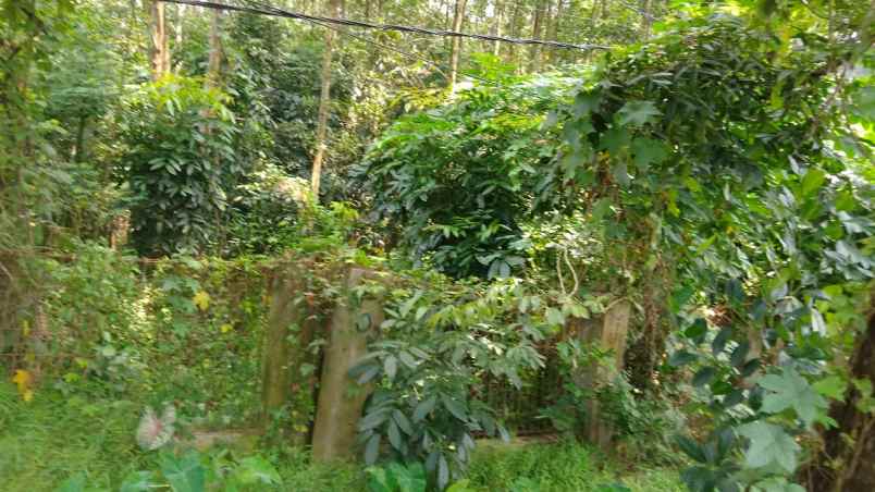 dijual tanah jalan marsinu