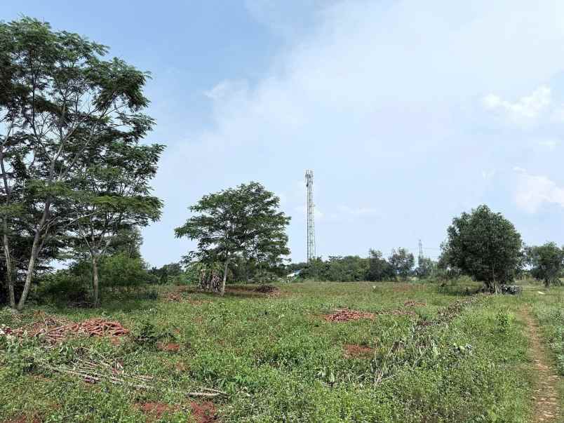 dijual tanah jalan raya tanjung garut