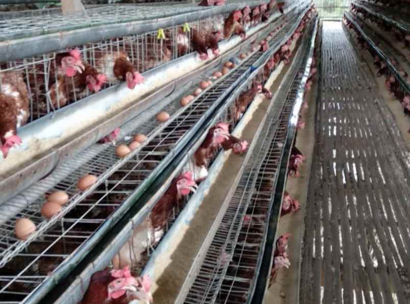 dijual tanah ji tegal bunder no 174