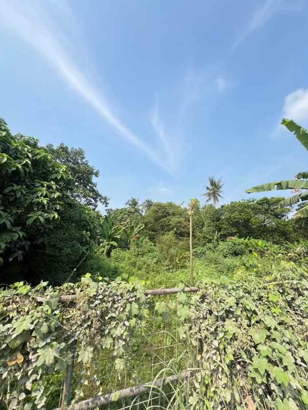 dijual tanah jl gn saloko