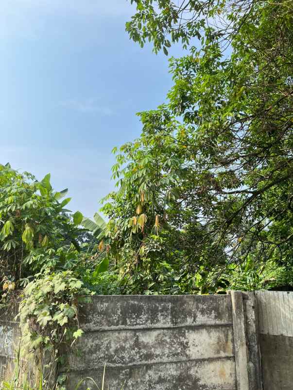 dijual tanah jl gn saloko