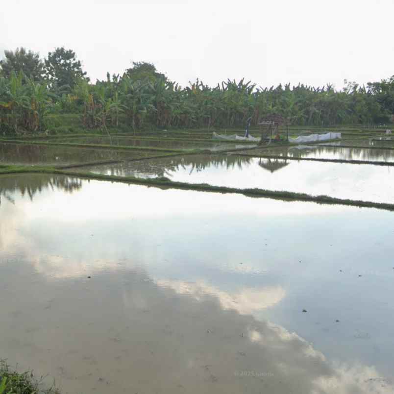 dijual tanah jl kalisada