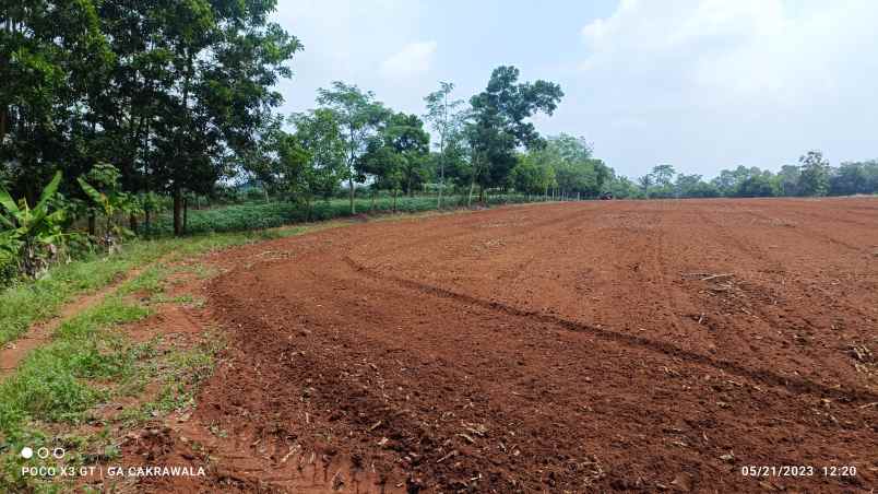 dijual tanah jl lintas sumatera tegineneng