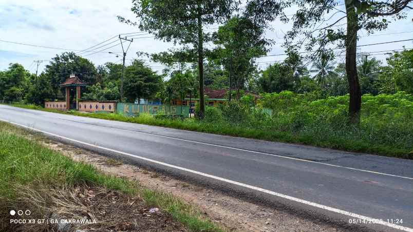 dijual tanah jl lintas sumatera tegineneng