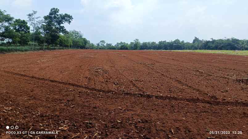 dijual tanah jl lintas sumatera tegineneng