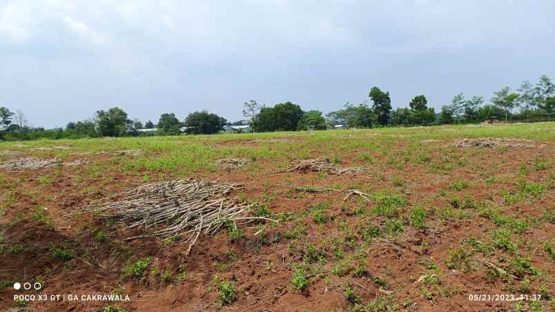 dijual tanah jl lintas sumatera tegineneng