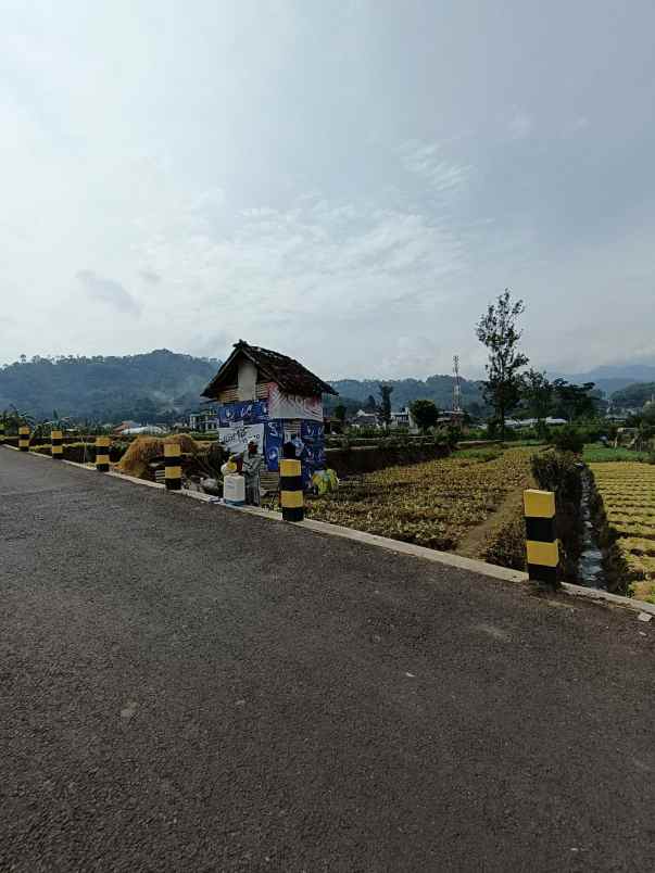 dijual tanah jl metro