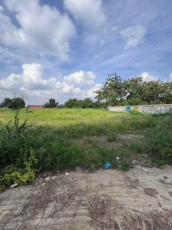 dijual tanah jl raya rawabuntu bsd rawa