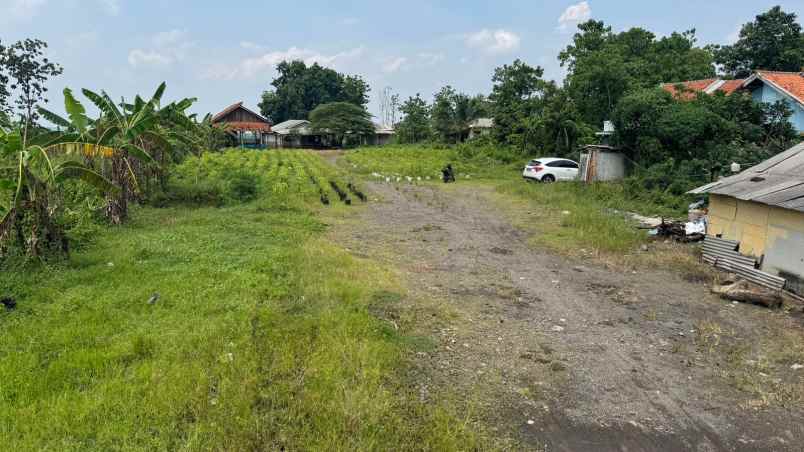 dijual tanah jl raya subang cikamurang