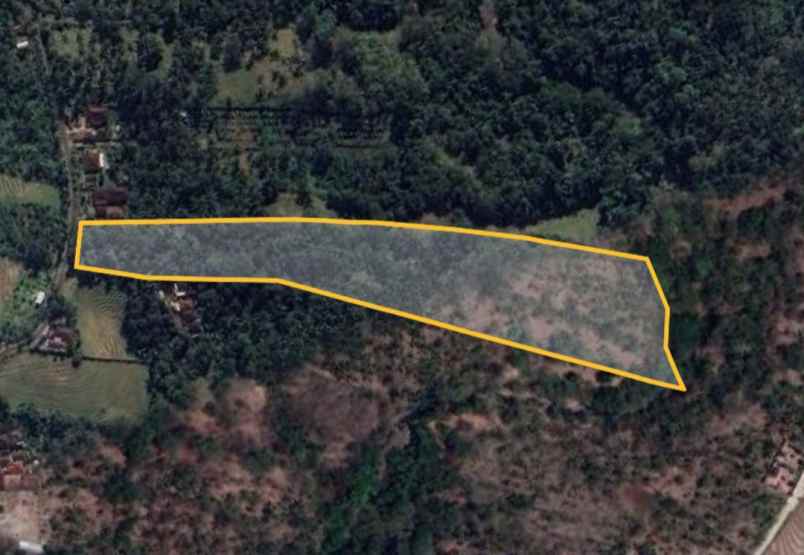 dijual tanah kebun los sungai murah tempat strategis