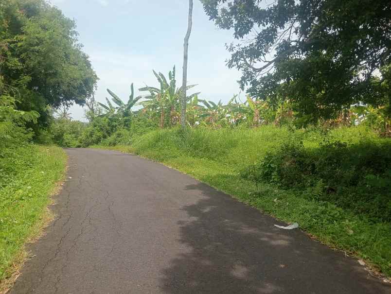 dijual tanah kebun los sungai murah tempat strategis