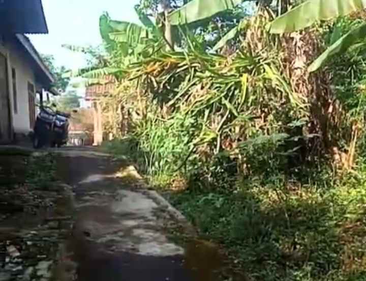 dijual tanah kebun pinggir jalan