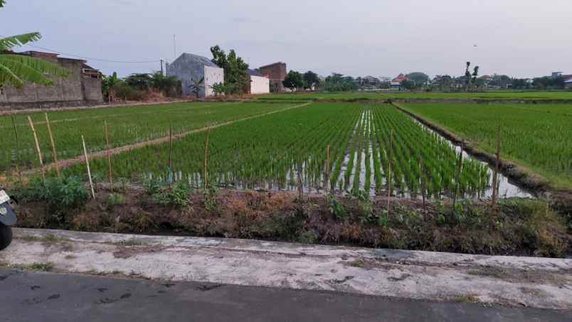 dijual tanah klaten
