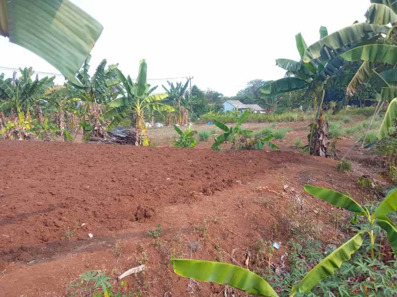 dijual tanah komersil 1 2 ha setu bekasi