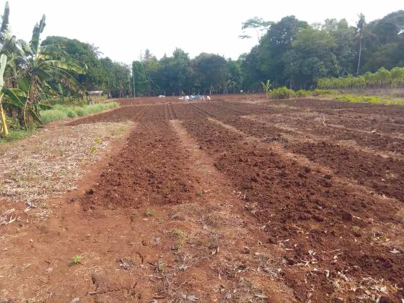 dijual tanah komersil 1 2 ha setu bekasi