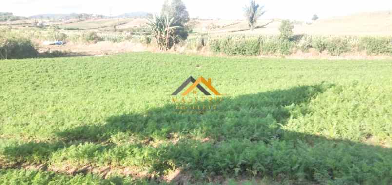 dijual tanah kosong daerah karo sukanalu barusjahe