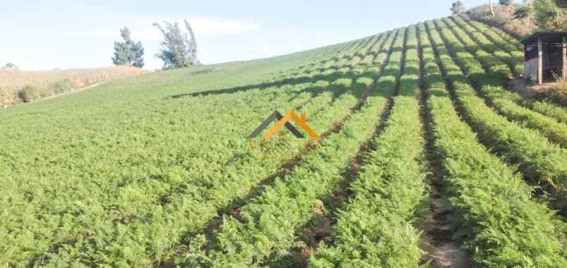 dijual tanah kosong daerah karo sukanalu barusjahe