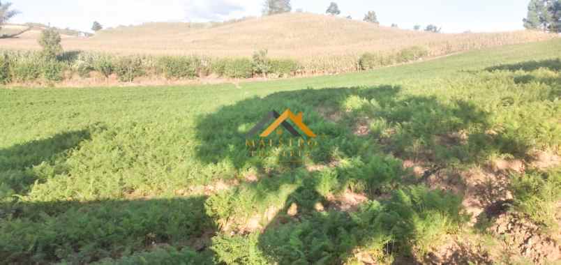 dijual tanah kosong daerah karo sukanalu barusjahe