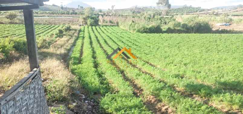 dijual tanah kosong daerah karo sukanalu barusjahe